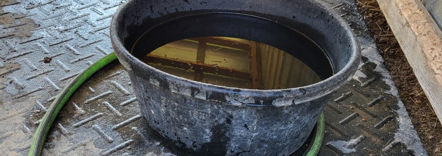 A round rubber tub of water sits on a water-splattered rubber mat beside a metal barn wall with a board along the bottom edge. A green hose lies coiled around the base of the tub.